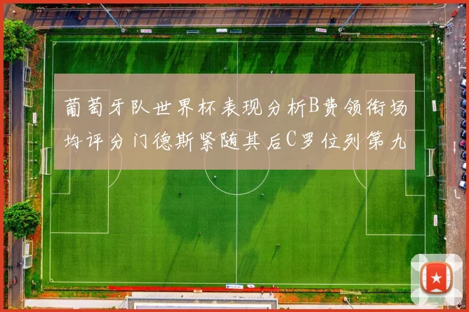 葡萄牙队世界杯表现分析B费领衔场均评分门德斯紧随其后C罗位列第九
