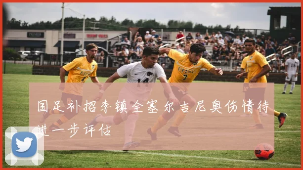 国足补招李镇全塞尔吉尼奥伤情待进一步评估