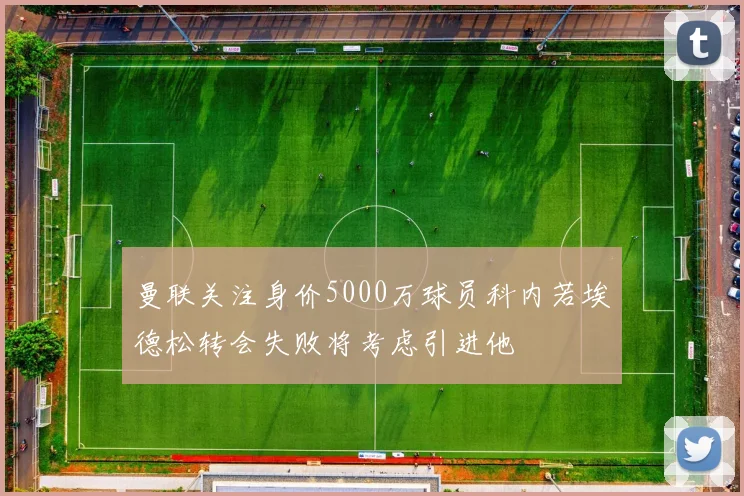 曼联关注身价5000万球员科内若埃德松转会失败将考虑引进他